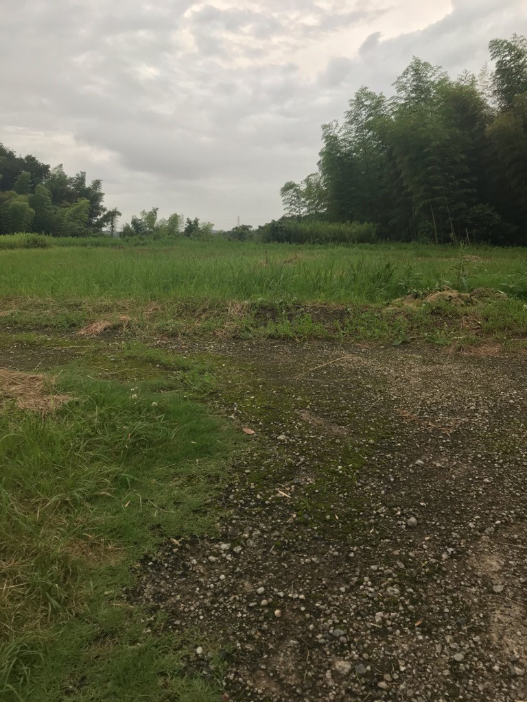 相続コラムvol 60 市街化調整区域の雑種地の評価はなかなか難しいです 知多 東海相続サポートセンター